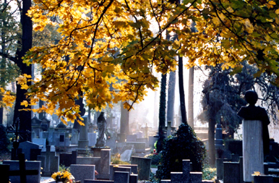 Friedhof Krakow, Polen