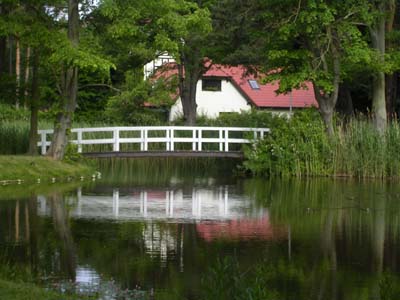 Brücke